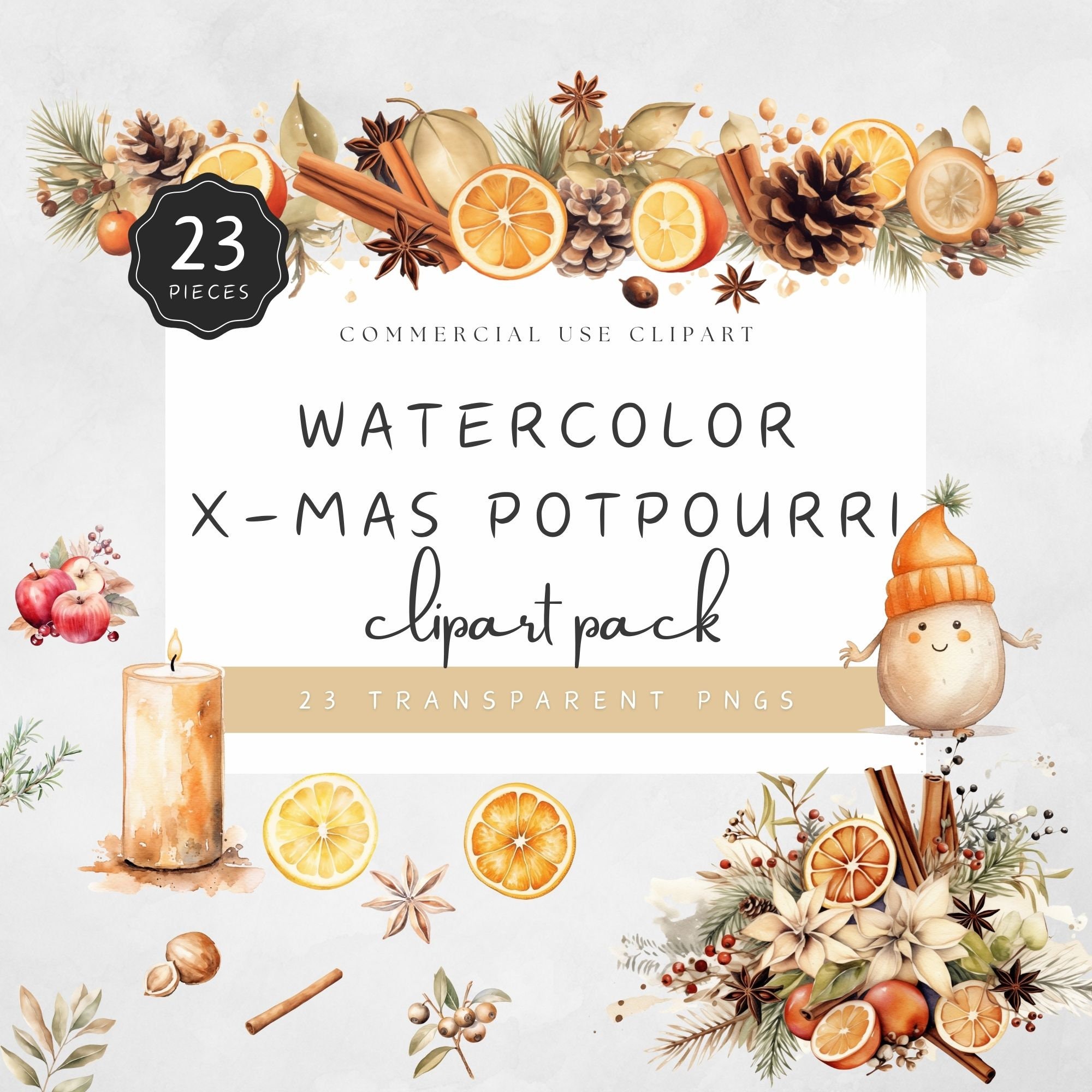 Christmas Potpourri Clipart Pack Watercolor High Quality Transparent PNG Ingredients Star Anise Apple Orange Lemon Cinnamon Pine  | UC105