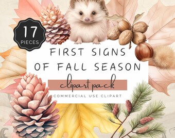 Clipart premiers signes de l'automne, aquarelle feuilles d'automne rouge brun jaune, hérisson, pomme de pin, 17 graphiques PNG pour création artisanale, impression UV DTF | UC104