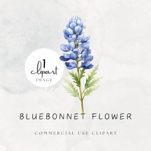 Watercolor Bluebonnet Clipart, Elegant Texas Spring Flower, Blue Digital Graphic PNG, for Crafts and Commercial Use | UC003