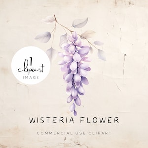Clipart de flor de glicina en acuarela, imagen única en violeta, flores de verano vintage en lila, para proyecto de manualidades de diseñador gráfico UV DTF / UC003