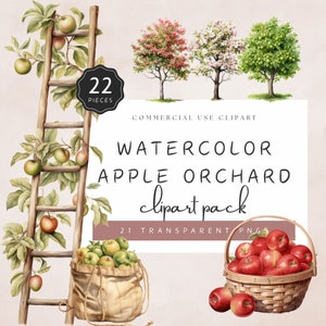 Apple Clipart Orchard Green Apple Picking Harvest Summer Fall Basket Wheelbarrow Cart of Red Apples Watercolor PNG | UC003