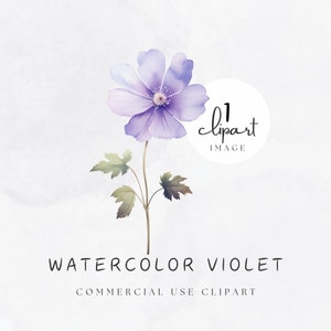 Aquarela Violeta Clipart PNG Ilustração Digital Fundo Transparente para Criadores Estacionários ou Use Design para Sublimar ou POD | UC003