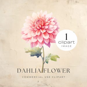 Flor de dalia png, clipart de jardín, flor floral rosa de acuarela, hermoso corazón grande, vibrante, para uso comercial, manualidades / UC003
