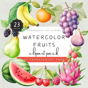 Locally Grown Fruit Clipart Watercolor Dragon Fruit PNG, Colorful Illustration Apple Clip Art for Education, Commercial Use | UC005
