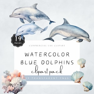 Dolphin PNG Cute Underwater Animal Clipart Azure Blue Oyster Jellyfish Cute Baby Boy Dolhpins Commercial Use | UC004