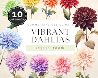 May include: A set of 10 vibrant watercolor dahlia flower illustrations. The flowers are in various colors, including red, pink, yellow, orange, blue, purple, and white. The illustrations are perfect for creating digital or printed designs.