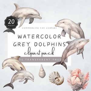 Dolphin PNG Cute Underwater Animal Clipart Neutral Light Grey Oyster Jellyfish Cute Baby Dolhpins Commercial Use | UC004