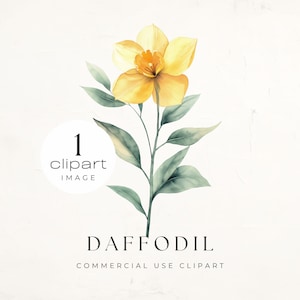 Clipart de flor de narciso em aquarela, clipart de jardim, floral de primavera em amarelo dourado suave, flor de nascimento de abril | UC003