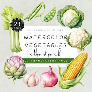 Locally Grown Vegetable Clipart Watercolor, Colorful Veggies for Childrens Educational Posters, 23 Premium PNG's, Commercial Use | UC005