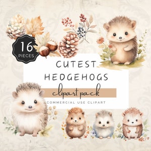 Pacote de clipart de ouriços mais fofos, aquarela de outono na floresta, folhas, castanha, ouriço bebê branco, 16 gráficos PNG para uso comercial | UC104