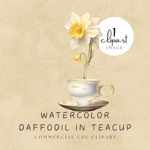 Daffodil in Teacup Clipart, Watercolor Narcissus, March Birth Flower, English Teacup with Gold Rim, Natural White | UC003