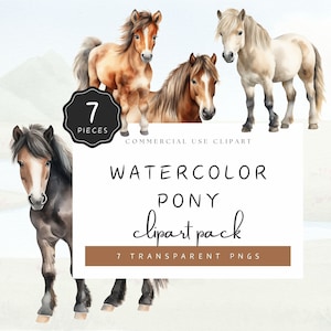 Pony Clipart Transparent PNG, Watercolor Horse Foal Illustration, Sublimation Design, Digital Download, Commercial Use | UC004