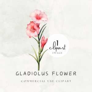 Gladiolus Clipart acuarela PNG, gráfico digital de flor roja, ilustración de flor de nacimiento de agosto para creadores estacionarios y artesanías / UC003