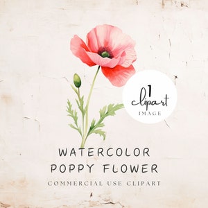 Aquarell Mohnblume Clipart, rote Mohnblume Illustration, Frühlingsblüte Feld blumig, für Schreibwaren und Print Craft | UC003