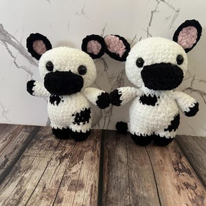 Zoo and Farm animals