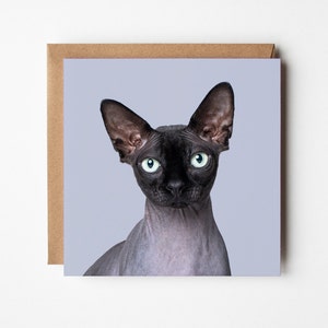 Carte de voeux Sphynx Cat II - carte de voeux pour animaux de compagnie, vierge à l'intérieur