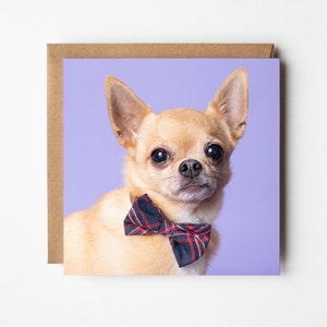 Biglietto di auguri per cani Chihuahua con papillon - biglietto di auguri per la fotografia di animali domestici, vuoto all'interno