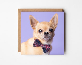 Grußkarte Deutscher Schäferhund – „Woof You“-Design Für Hundeliebhaber, Inkl. Umschlag, 144x148 Mm