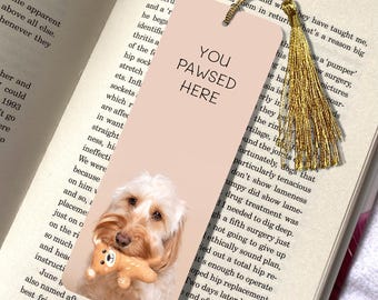 Cockapoo med nallebokmärke