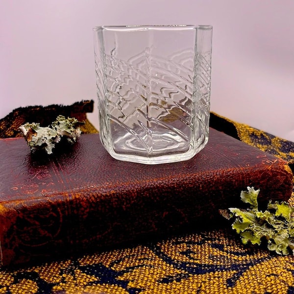 70s Dansk Summerhouse Short Tumbler Gunnar Cyren Mod Whiskey Bar Ware Glass