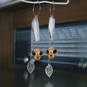 Puede incluir: Un par de pendientes de aro de plata con un dije de cristal, un dije de calavera de gato y un dije de hoja que cuelgan de cada aro.