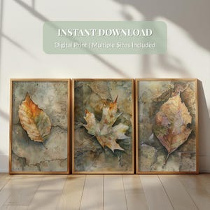 Arte mural botánico en tonos tierra, tríptico con estampado de hojas rústicas, decoración de naturaleza neutra, póster de otoño tranquilo, obra de arte inspirada en Wabi Sabi.