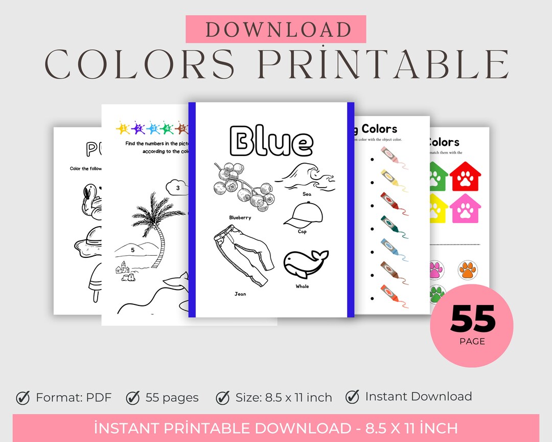 Instant Download Learn the Colors Printable Coloring Pages - Etsy