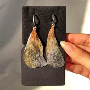 May include: A pair of earrings featuring delicate, dried flower petals encased in resin. The petals are a mix of brown, yellow, and white, with a subtle shimmer. The earrings are suspended from silver hooks.