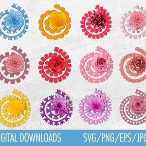 Fiore di carta arrotolato SVG, fiore arrotolato SVG, modello di fiore arrotolato, fiore 3D SVG, download digitale, regalo per la festa del papà, regalo per la festa della mamma.