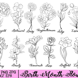 Birth Month Svg Bundle, Flower Svg, Floral svg, Botanical svg, Rose svg, Daisy svg, Poppy svg, Birthday svg, Custom Birth Flower,Tattoo svg