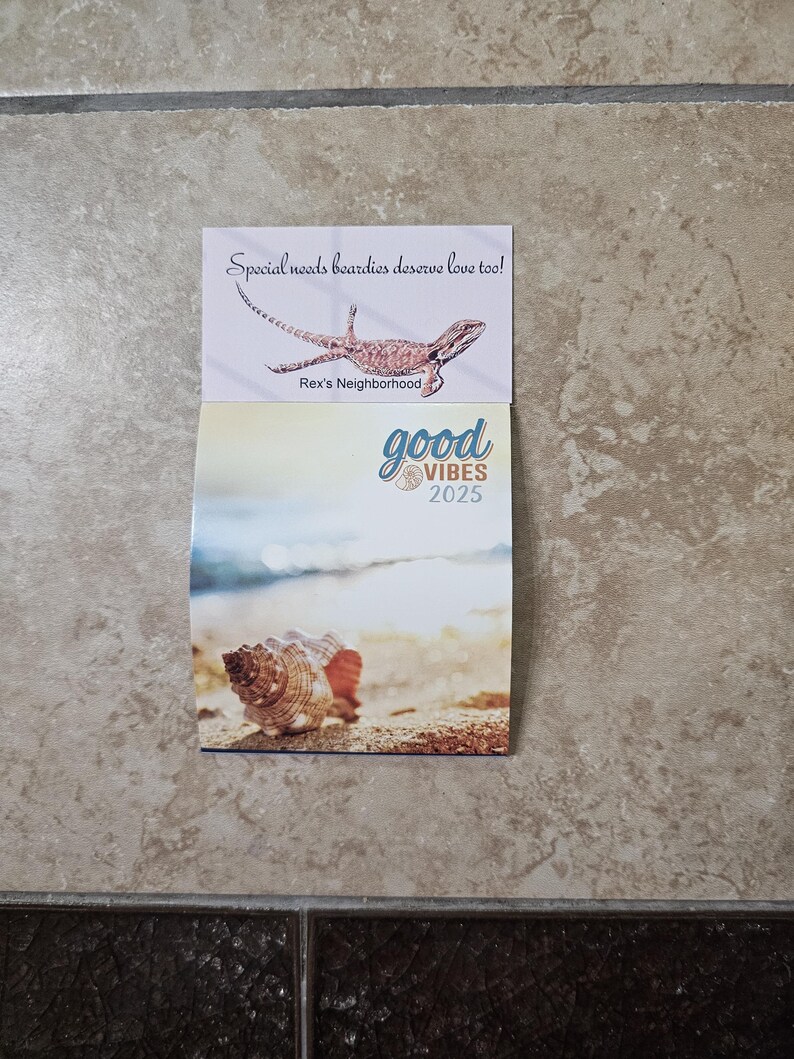 Mini Fridge 2025 Calendar Bearded Dragon Etsy