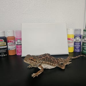 Dragon barbu fait oeuvre d'art sur toile