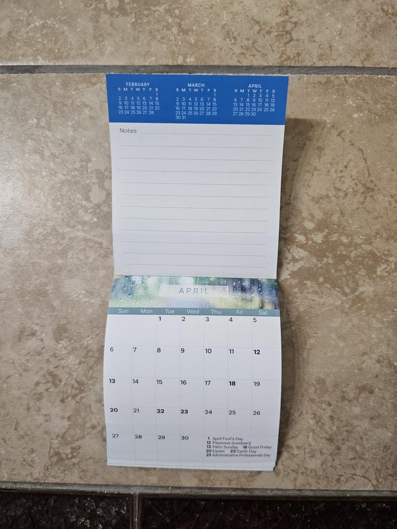 Mini Fridge 2025 Calendar Bearded Dragon Etsy