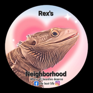 Autocollant 3 pouces Rex's Neighborhood, dragon barbu