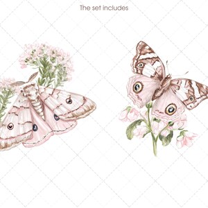May include: Watercolor illustration of two butterflies and flowers. One butterfly is pink and brown with large eyespots on its wings, perched on a flowering branch. The other is a pink moth with brown markings, surrounded by delicate pink flowers and greenery.