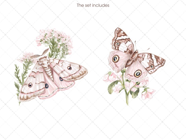 May include: Watercolor illustration of two butterflies and flowers. One butterfly is pink and brown with large eyespots on its wings, perched on a flowering branch. The other is a pink moth with brown markings, surrounded by delicate pink flowers and greenery.
