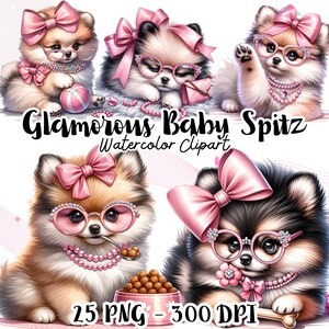 Disegno acquerello di un cane Spitz, disegno acquerello di un elegante Spitz, clipart di un grazioso Spitz affascinante, clipart di cuccioli carini in formato PNG, disegno acquerello di un animale domestico in formato PNG