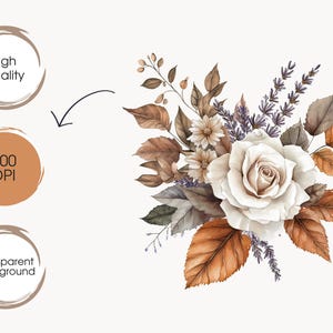 May include: Watercolor illustration of a floral bouquet featuring a large white rose, brown and orange leaves, and lavender sprigs. The image includes text that says "High quality", "300 DPI", and "Transparent Background".