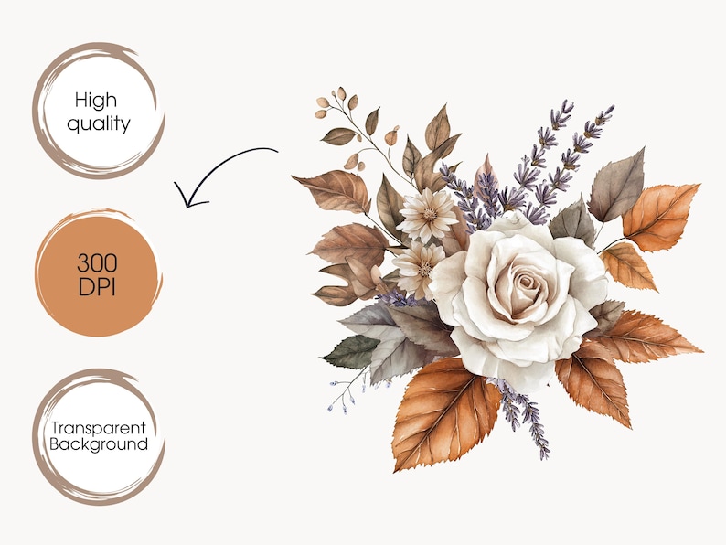 May include: Watercolor illustration of a floral bouquet featuring a large white rose, brown and orange leaves, and lavender sprigs. The image includes text that says "High quality", "300 DPI", and "Transparent Background".