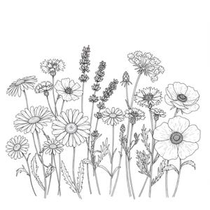 20 dessins de croquis de fleurs sauvages des cliparts noir et blanc, téléchargement numérique, clipart aquarelle imprimable, créations en papier, JPG de qualité, journal indésirable