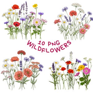 10 cliparts de prairie de fleurs sauvages PNG, fleurs sauvages pour impression, téléchargement numérique, clipart aquarelle imprimable, travaux manuels en papier, sublimation, journal indésirable
