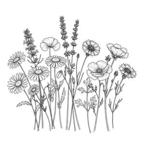 12 Wildflower Sketch Clipart: Black and White Floral Drawings, Junk Journal (Digital Download JPGs)