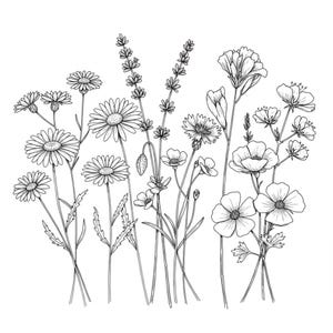 12 dessins de croquis de fleurs sauvages des cliparts noir et blanc, téléchargement numérique, clipart aquarelle imprimable, créations en papier, JPG de qualité, journal indésirable