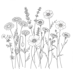 20 dessins de croquis de fleurs sauvages des cliparts noir et blanc, téléchargement numérique, clipart aquarelle imprimable, créations en papier, JPG de qualité, journal indésirable