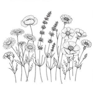 10 croquis de fleurs sauvages des dessins des cliparts noir et blanc, téléchargement numérique, clipart aquarelle imprimable, créations en papier, JPG de qualité, journal indésirable