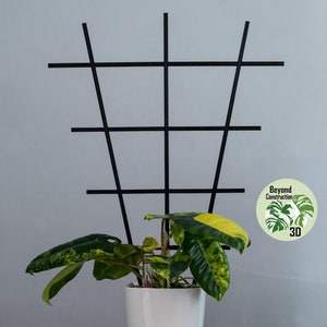 UK Plant Trellis | Plant Support | Plant Frame | Plant | Accessories | 3d Print | Climber | For Monstera Philodendron Hoya Pothos Anthurium