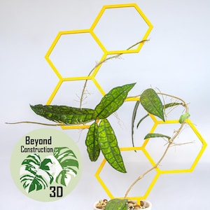 UK Plant Trellis | 41cm | Plant Support | 3d Print | Honeycomb | Hexagon | Accessories | For Monstera Philodendron Hoya Pothos Anthurium