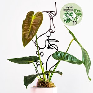 UK Plant Trellis | Me And You | Love | Plant Support | 3d Printed | Valentines Day | Gift | Accessories | For Monstera Hoya Pothos Anthurium