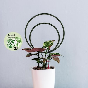 UK Plant Trellis | Double Circle | Climbers | Plant Support | 3D Print | Plant Accessories | For Monstera Philodendron Hoya Pothos Anthurium