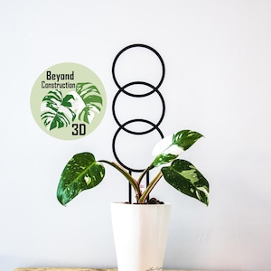May include: A white potted plant with green and white leaves growing up a black metal ring trellis. The plant is labelled "Beyond Construction 3D".